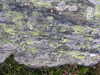 Granit_lichens